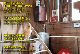 Backyard Poultry — October/November 2026